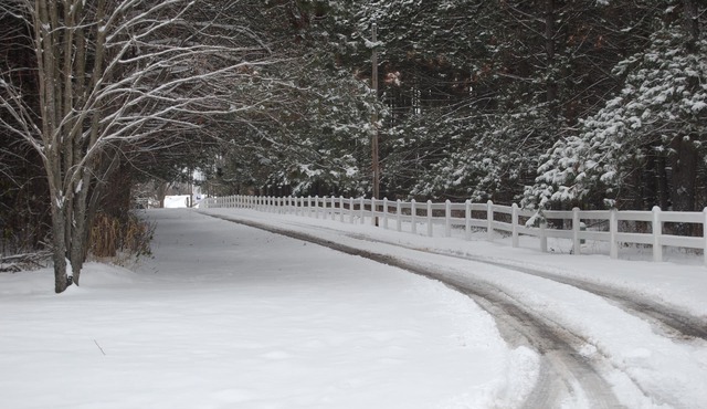 Private, Wooded Oasis, Completely Remodeled, Minutes from Granite Peak Ski Area!