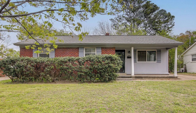 Private Yard! Pet-Friendly Memphis Adventure Hub