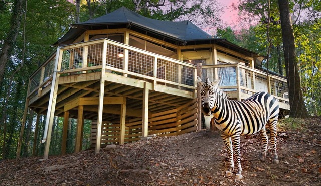 Private Zoo Experience+Private hot tub