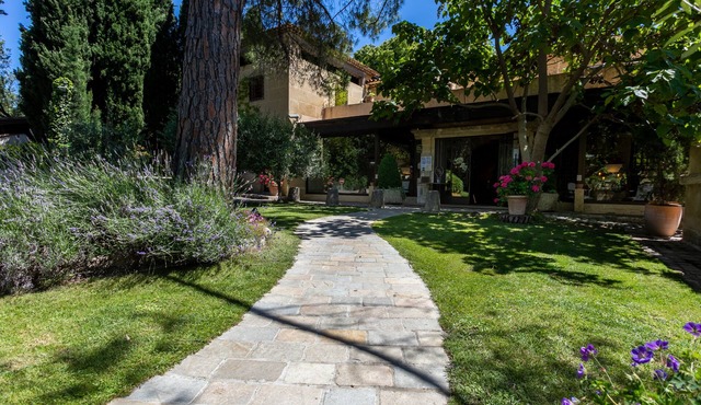 Privatisation D'un mas Typiquement Provençale Avec 20 Chambre, Piscine et Tennis