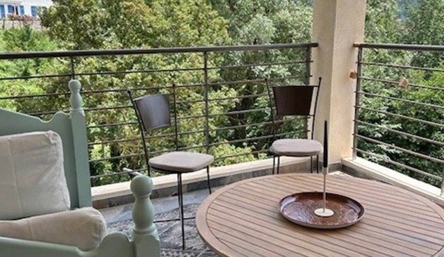 Privatization of the house (minimum 3 nights)