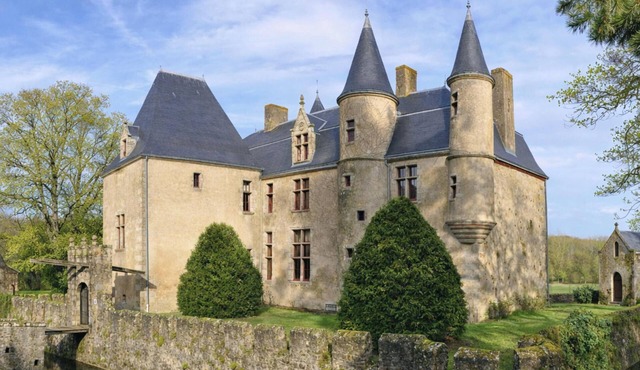 Privatize a fairytale castle - 5 suites - 20 mn from Puy du Fou