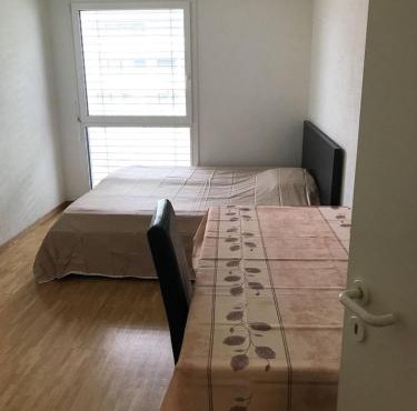 Prive room in new apartment at Chemin Daniel Ihly, Petit Lancy