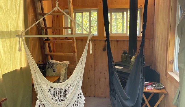 Privtate cabin-wooded trails, 5 minutes to Loon Call Lake! Pets welcome!