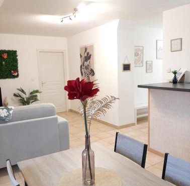 proche aéroport a pied O fleuri