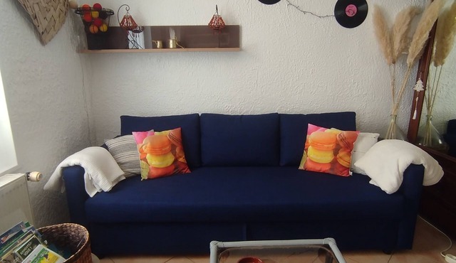 Proche de Tours en Voiture, Studio Plein Pied Avec Cour Privée, Animaux Acceptés