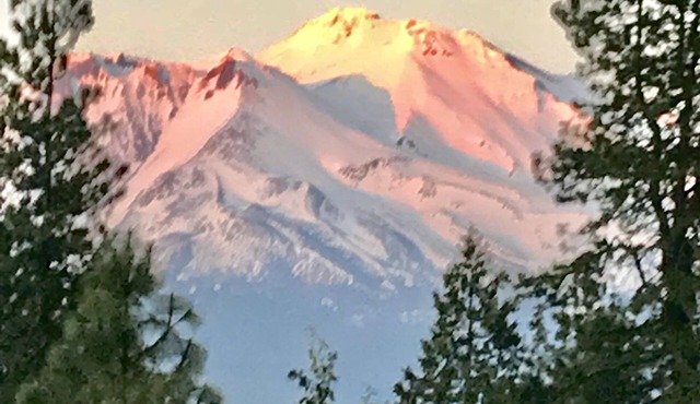 PROMO 8.50 WEEKLY AND 12.50 MONTHLY DISCOUNTnMt Shasta Cabin/Studio