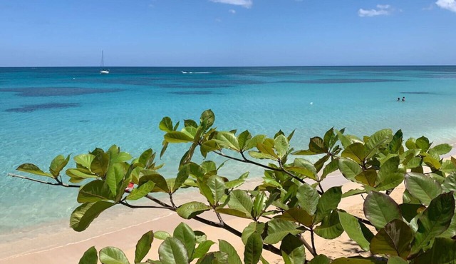 PROMO Beachfront sunsets with Starlink WIFI