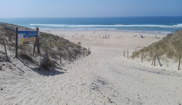 PROMO from 18 to 24 August and from 25 to 31 August 1400 € the week.