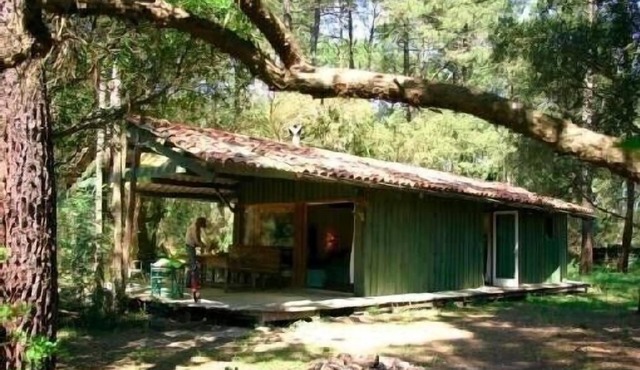 Promo juillet Wooden house in the heart of the Landes forest near Lac d'Hossegor