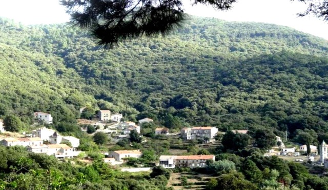 PROMO Rent village house in gualdariccio a proch zonza propriano