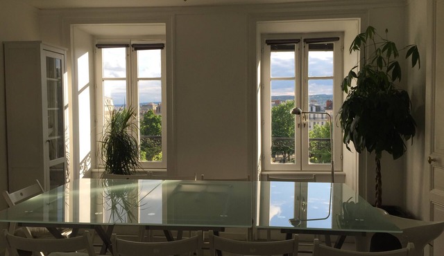 PROMOTION Jardin Darcy hyper center, Gare-ville parking at the peaceful foot