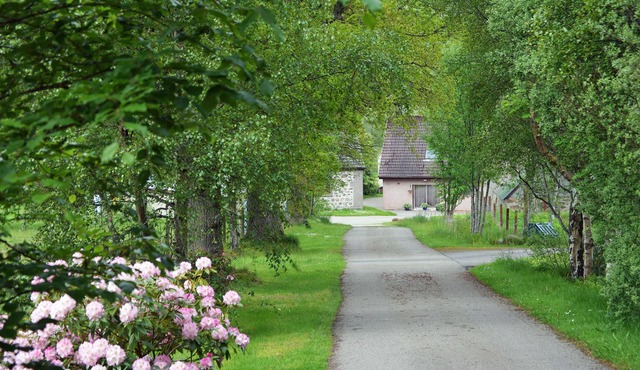 Promotion; reduced prices! Farmhouse 7 Miles From Loch Ness, In a Quiet Glen.