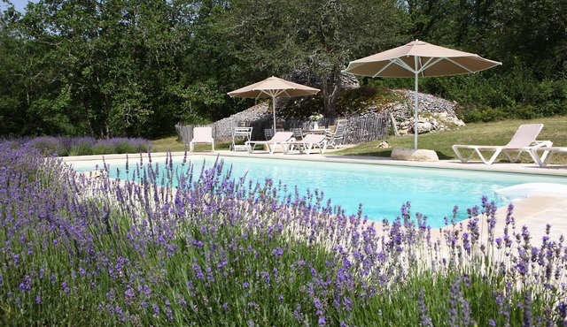 Property ENTIEREMENT PRIVATIVE on 4 hectares ! Heated pool-great luxury