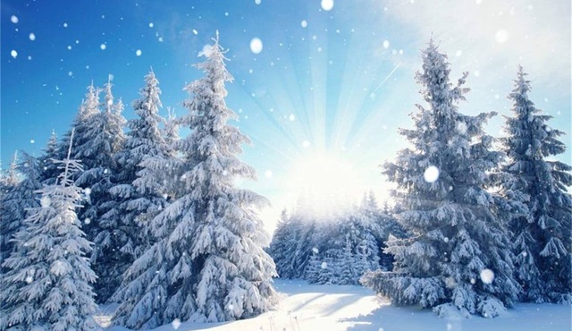 Property for Tornado Watchers!