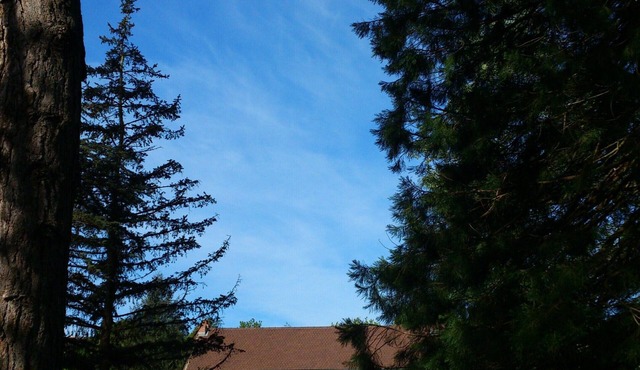 Property on the banks of the Sioule river in a small spa village in Auvergne