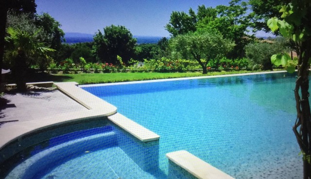 Property in the vaucluse province: Infinity pool/Jacuzzi/View