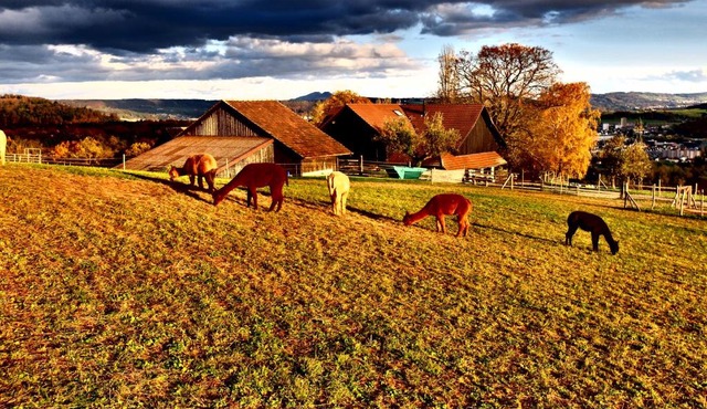 Prophetengut - die Perle im Jurapark