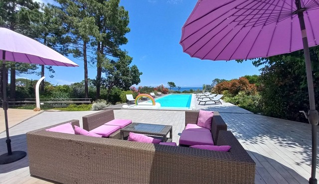 Propriété Pieds Dans L'eau Plage de Sable Intimiste au Bout du Jardin