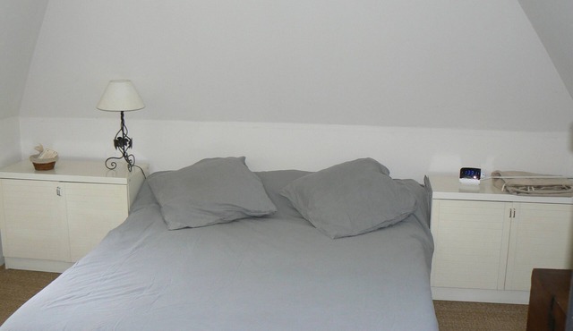 Propriété au calme : 2 maisons d'habitation 1 maison avec salle de cinéma & jeux