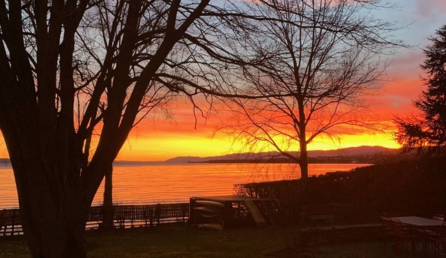 Propriété Moderne Exceptionelle au Bord du Lac, Proche de Toutes Commodités