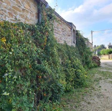 Propriete d'une chambre avec piscine partagee et terrasse a Theix a 9 km de la plage
