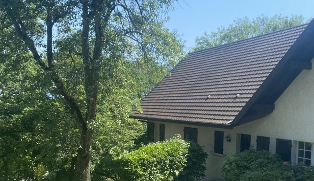 Propriete de Campagne a 15min de Geneve et du Lac