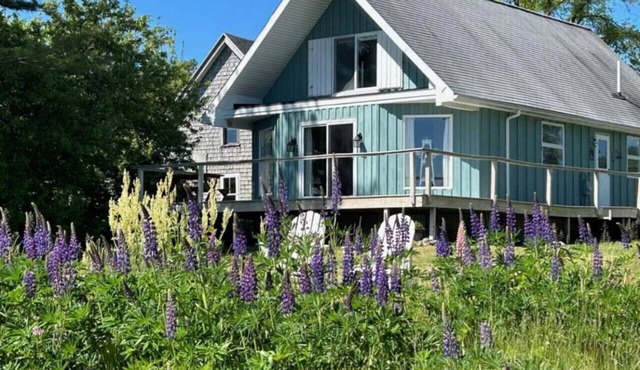 Prospect Harbor Coastal Cottage | On the Water
