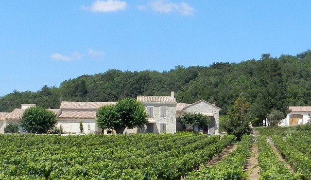 Provencal farmhouse (3 independent houses) in a vineyard