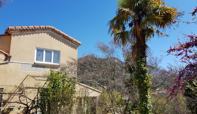 Provencal house 3 minutes from the village square in Buis les Baronnies