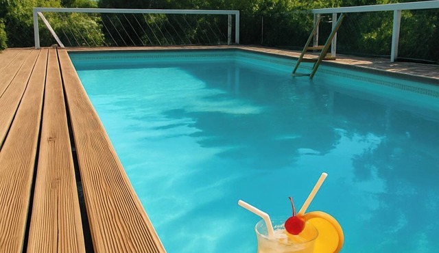 Provencal house with outdoor pool 650 m from pont du gard and its river