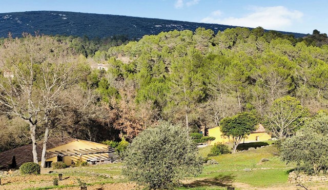 Provencal house with swimming pool near the Verdon. Peace and quiet guaranteed.