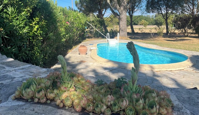 Provencal house with swimming pool in the countryside on 5000m2 of land