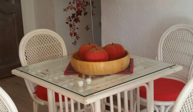 Provencal stone shed in Green Provence