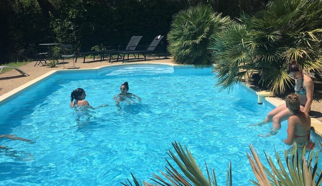 Provencal villa with large pine trees and swimming pool.