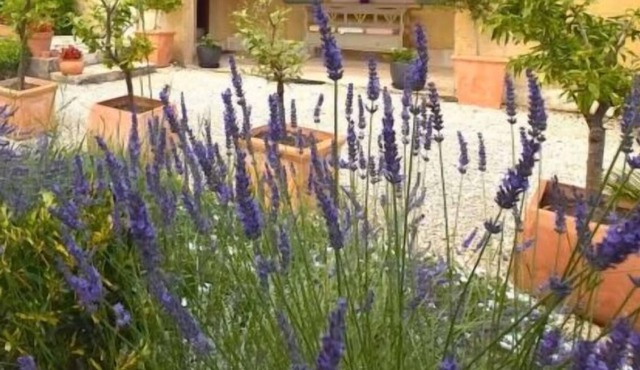 PROVENCAL VILLA SWIMMING POOL GARDEN UZES 10 PEOPLE