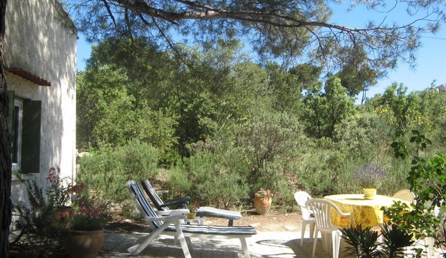 PROVENCE - CHARMING LITTLE HOUSE NESTED AMONG PINE TREES