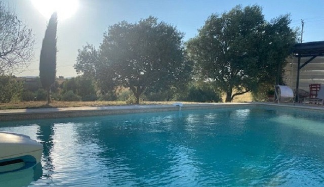 PROVENCE DODO