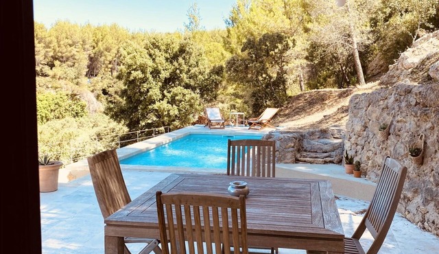 Provence house with pine forest view, large garden and private pool