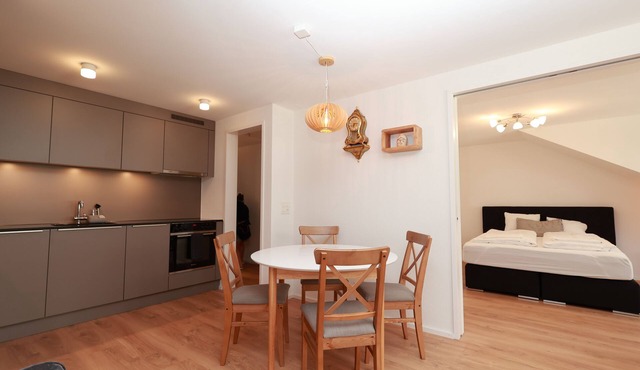 Provence - Stylish 1 bedroom unit at Falkenplatz, Lucerne