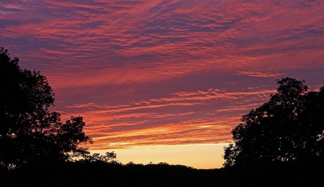 Prow'd House Bed & Breakfast