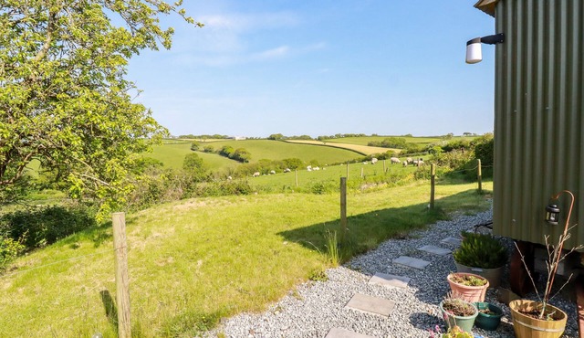 Puddle Duck Shepherds Hut