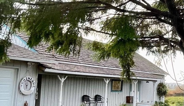 Puget Island Paradise: lovely 3 bedroom, 1 1/2 bath with waterfront views