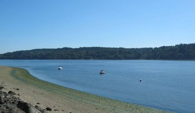 Puget Sound Beachfront Cabin near Gig Harbor, WA. Gone Fishin’ Cabin.