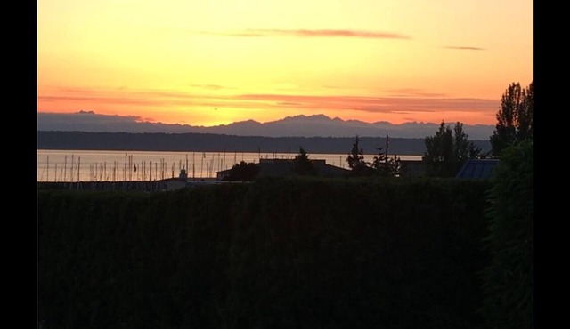 Puget Sound View Stunner in Marina Beach Town