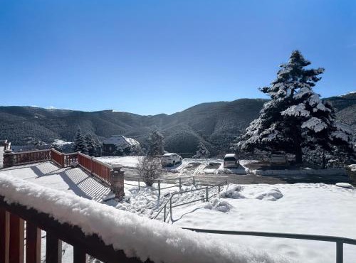 Puigllançada I