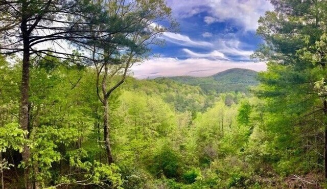Pumpkin Hill on Little Bear Pen- three levels with a view!