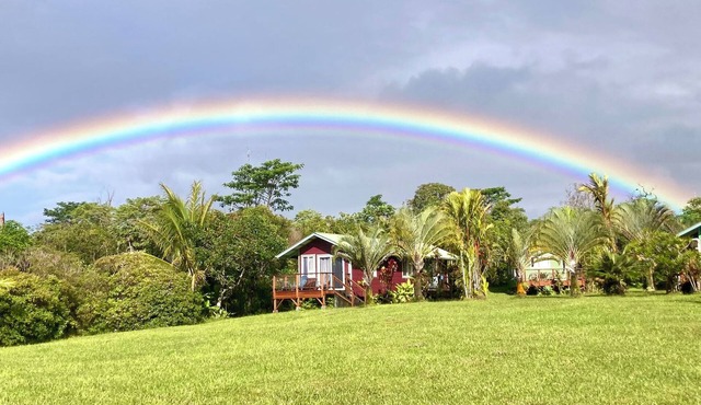 Puna Rainforest Retreat Hotspring - Purple Passion Cottage