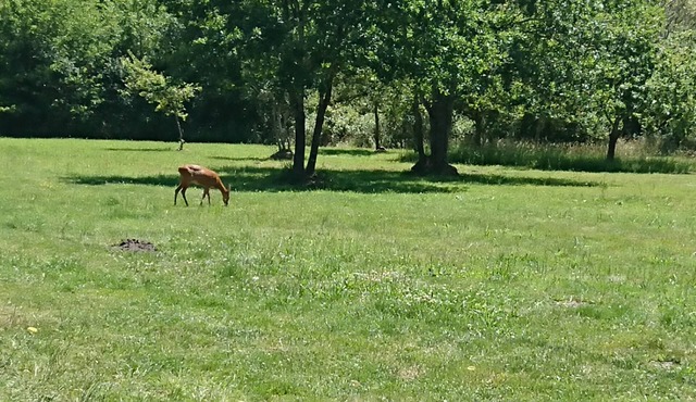 PUR nature and beach