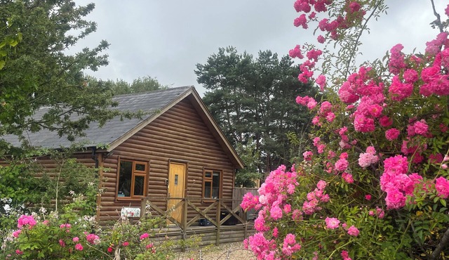 Purbeck Heathland Wooden Lodge Family Home Dorset